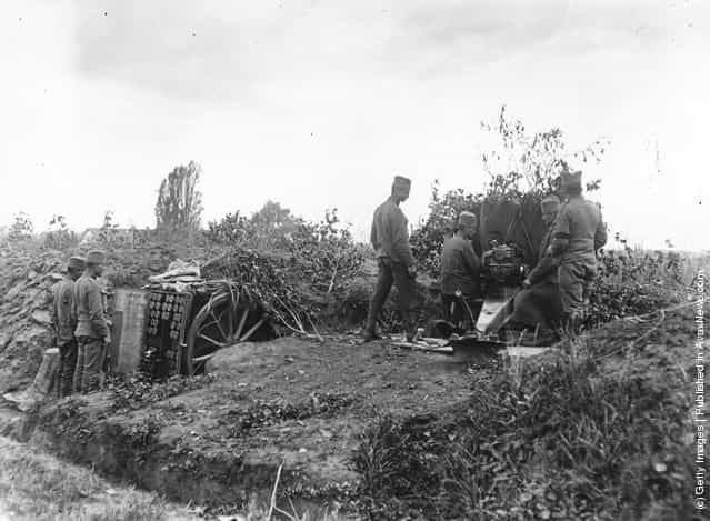 1915: Camouflaged Serbian artillery on the banks of the river Sava in Serbia