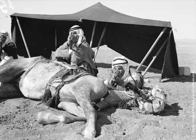 1936: Using their horse for cover, members of the Arab Legion stage a realistic 'Bedouin attack' at Amman, the capital of Jordan