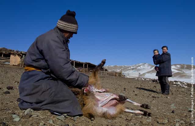 Extreme Mongolian Winter