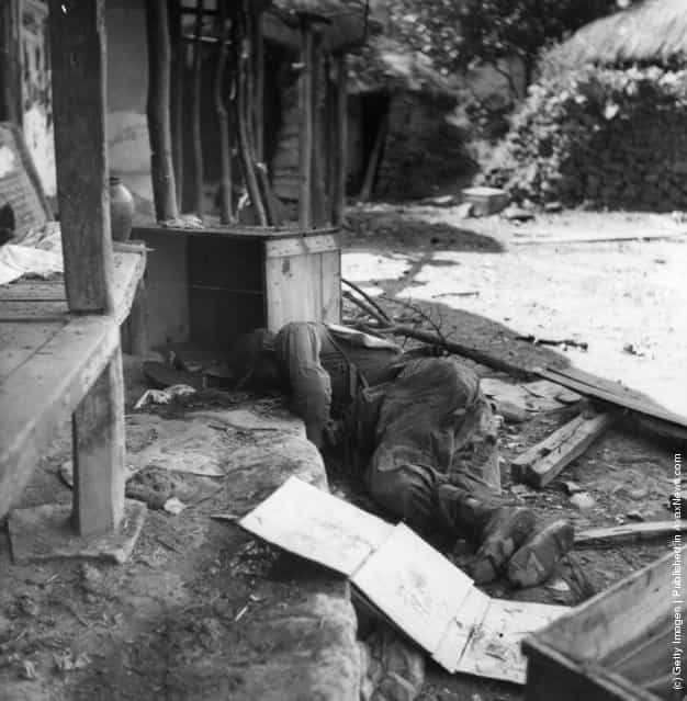 A dead Korean soldier, 1950