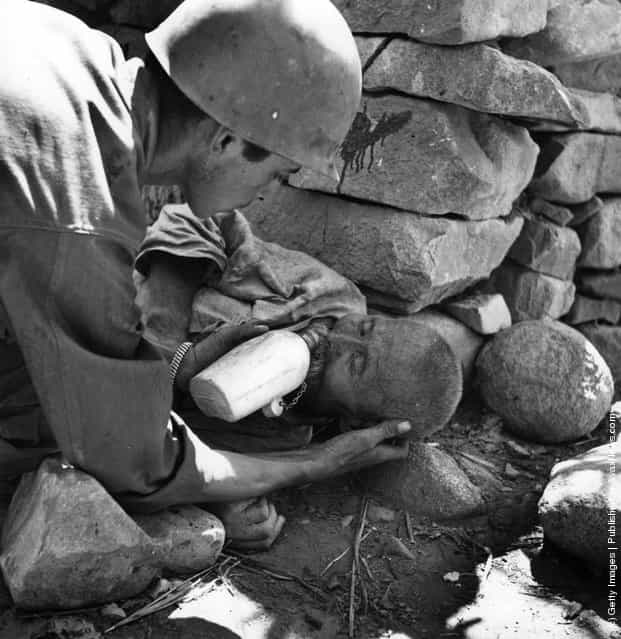 An American soldier helping a wounded Korean to drink, 1950
