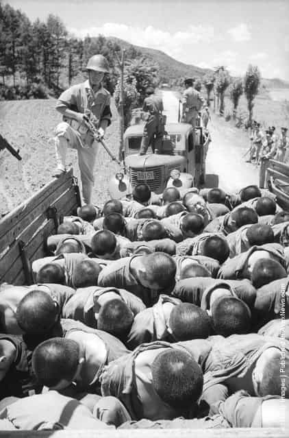 Suspected South Korean traitors are herded into lorries on their way to execution - an incident that was later investigated by a United Nations observer, 1950