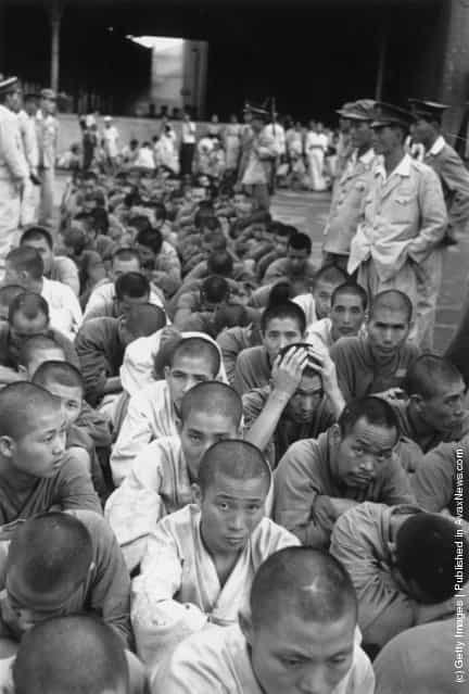 1950: South Korean political prisoners under guard at Pusan