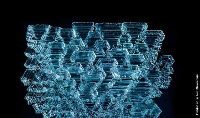 A naturally formed frost crystal that had grown overnight on a fence in -15 degrees C weather. Image from Jesper Grønne of Silkeborg, Denmark