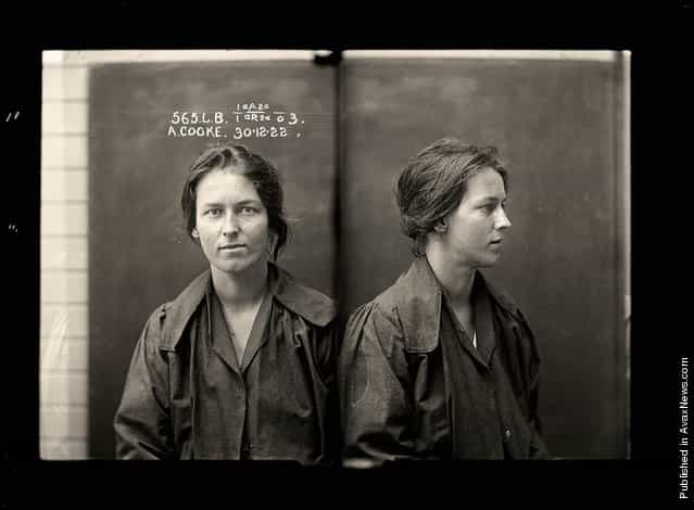 Alice Adeline Cooke, criminal record number 565LB, 30 December 1922. State Reformatory for Women, Long Bay, NSW