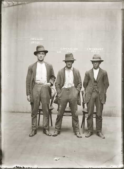 Mug shot of Frank McGowan, Robert McFarlane and John Dennis McFarlane, 23 May 1921, Central Police Station, Sydney