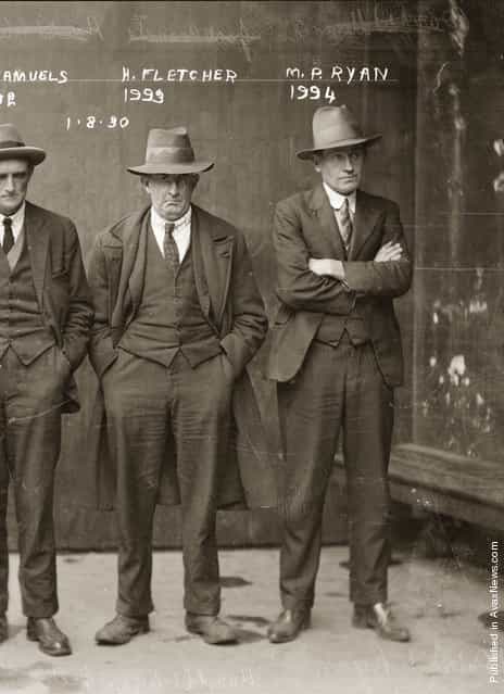 Mug shot of Jack Samuels (obscured), Howard Fletcher and Michael Patrick Ryan, 1 August 1930, Central Police Station, Sydney