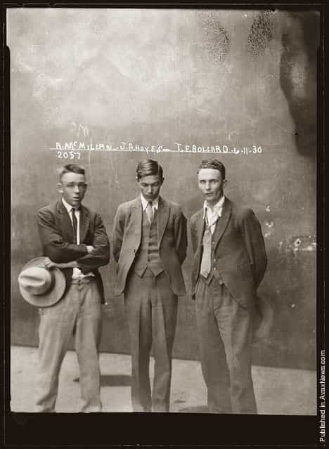 Eddie McMillan, John Frederick Chow Hayes, Thomas Esmond Bollard, Special Photograph number 2057, 6 November 1930, Central Police Station, Sydney