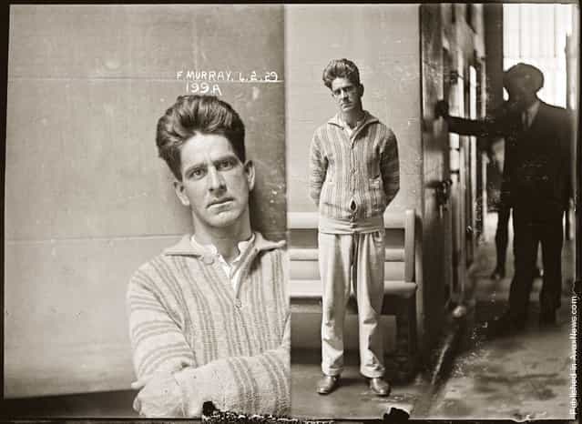 Mug shot of Frank Murray alias Harry Williams, 4 February 1929, Central Police Station, Sydney