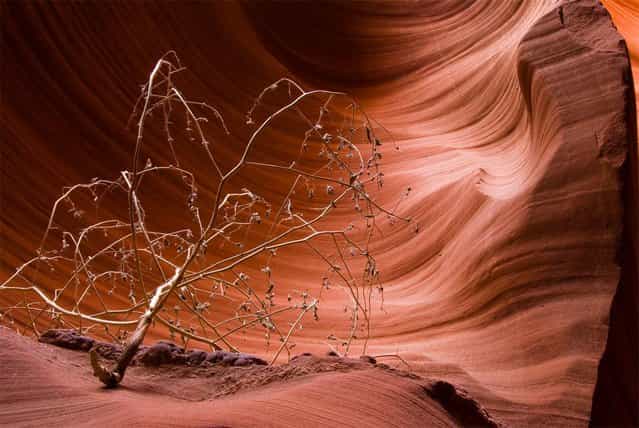  Antelope Canyon Arizona USA