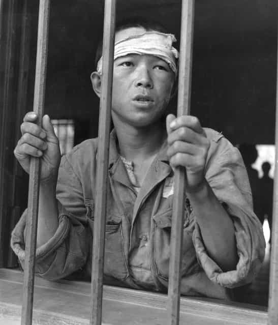A prisoner staring through the bars at Taegu POW camp in Korea, 1950. (Photo by Picture Post)
