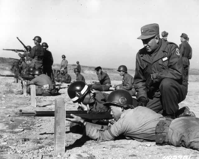 Major Harry Hoffman watching target practice at a Korean training area, 1952. (Photo by Central Press)