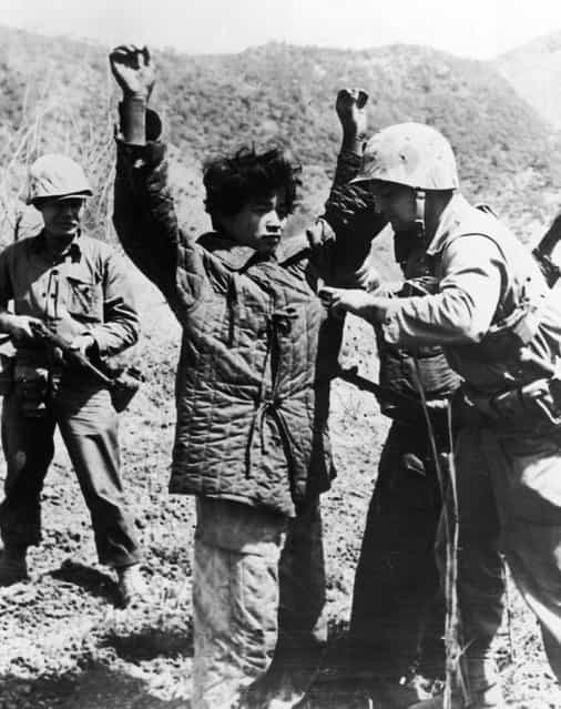 An American Marine searching a captured Chinese Communist in Korea, 19th June 1951. (Photo by Central Press)