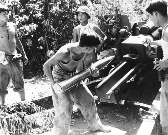 A South Korean gun crew preparing to fire a 105 mm Howitzer in support of the 1st Korean Infantry Division, during the Korean War, 12th August 1950. (Photo by Keystone)