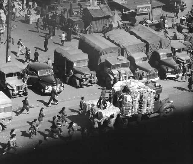 1948年3月，外滩，一群妇女儿童追赶一辆满载棉花的卡车。 (In March 1948, the Bund, a group of women and children to catch up with a truck loaded with cotton)