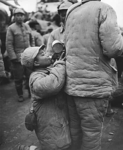 1948年11月， 上海，从北方前线撤下的一童军喝着同伴水壶里的水。 (In November 1948, Shanghai, removed from the northern front of a Scout drinking companion kettle of water)