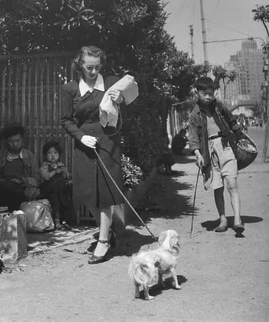 1949年5月，一欧洲女人在原法租界遛狗。 (In May 1949, a European woman walking the dog in the former French Concession)