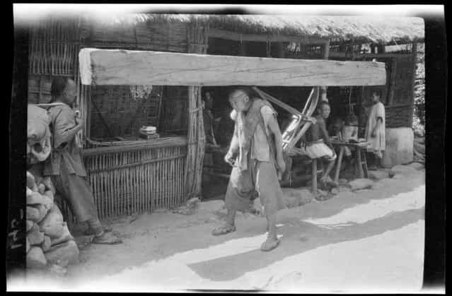 Lumber Carrier. China, Guan Xian (Sichuan Sheng), 1917-1919. (Photo by Sidney David Gamble)