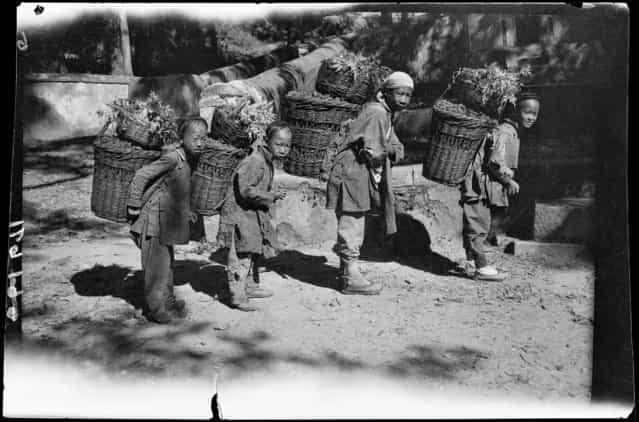 Nut Boys. China, Tanzhesi, 1917-1919. (Photo by Sidney David Gamble)