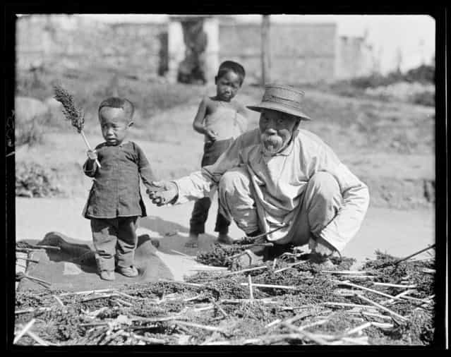 Old Man and children. China, Beidaihe, 1917-1919. (Photo by Sidney David Gamble)