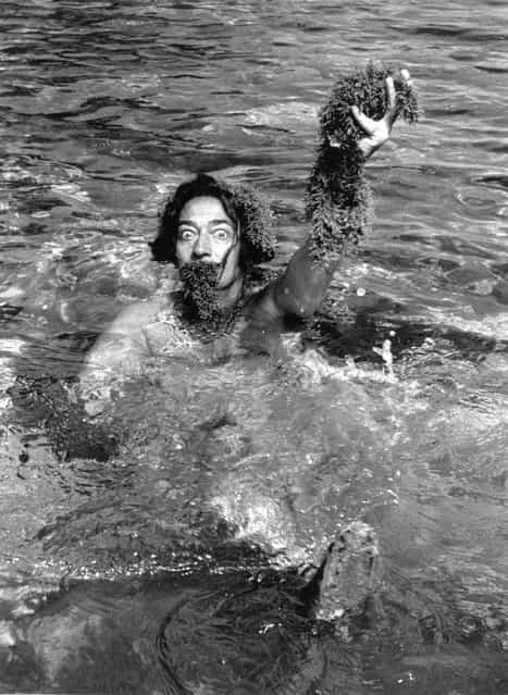 Spanish surrealist artist Salvador Dali (1904–1989) swimming holding seaweed, and wearing seaweed beard and wig, 1955. (Photo by Hulton Archive)