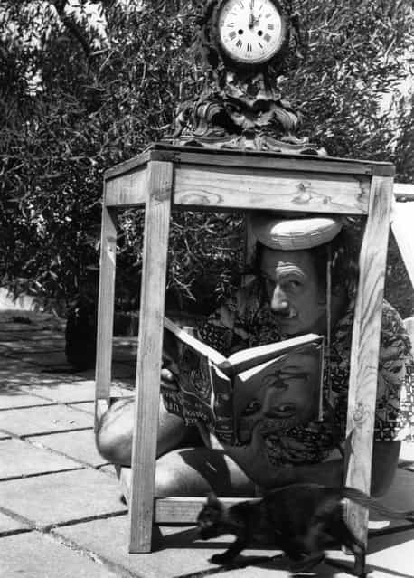 Surrealist artist Salvador Dali (1904–1989) in a bizarre pose sheltering from the sun in the garden at his home in Cadaques on the Spanish Costa Brava. The book he holds, needless to say, is upside down. 8th January 1955. (Photo by Charles Hewitt)