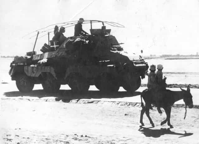 Two Libyan boys travelling on an ass turn to stare at a passing German tank in the desert near Tripoli. 1st December 1942. (Photo by Keystone)