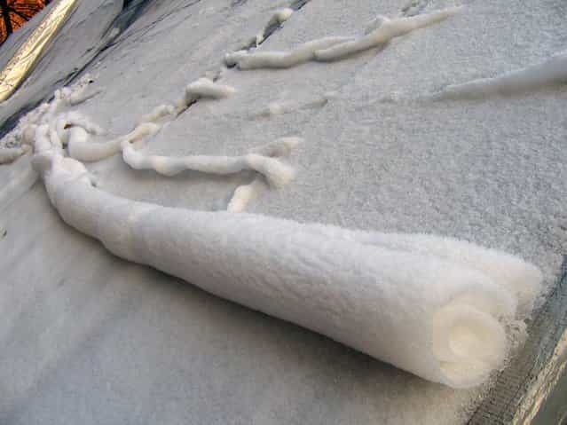 Snow Roller. (Photo by The Daily Omnivore)