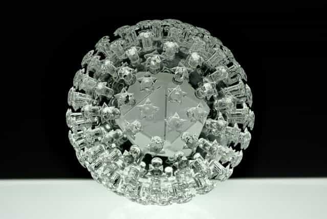Luke Jerram’s Glass Microbiology Sculptures