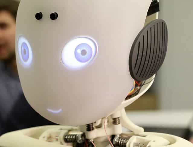 ROBOY: Tendon Driven Humanoid Robot 