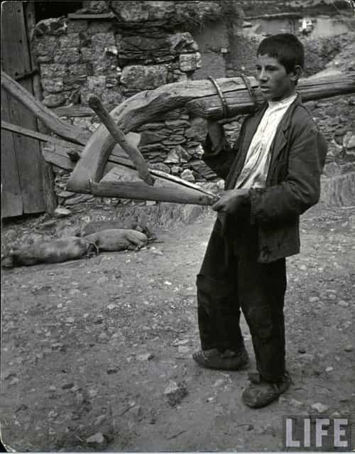 Genaro Curiel, 17, son of man planting beans, carries his crude wooden plow as he heads for work at a wage of 12 pesetas ($.30) and one meal a day. (Photo by W. Eugene Smith/Time & Life Pictures)
