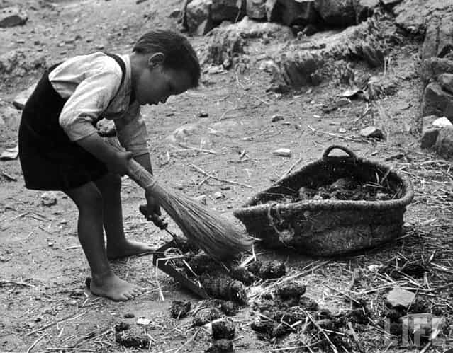The youngest son in the Curiel family, 5-year-old Lutero, sweeps up manure from the street outside his home. It is carefully hoarded as fertilizer, will be used on the eight small fields the family owns or rents a few miles out of town. (Photo by W. Eugene Smith/Time & Life Pictures)