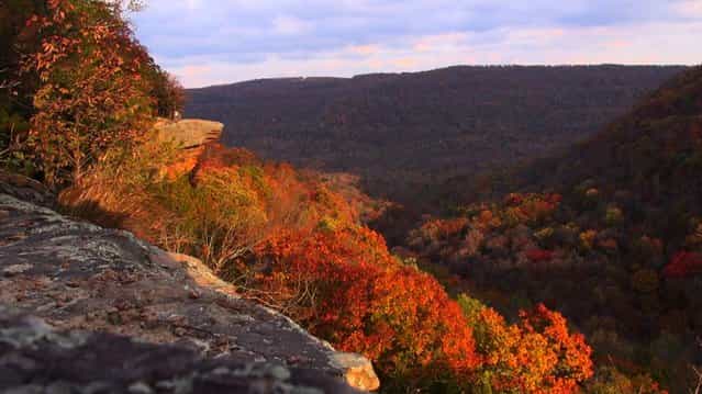 Hawksbill Crag In The Ozark National Forest