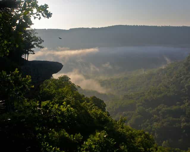 Hawksbill Crag In The Ozark National Forest
