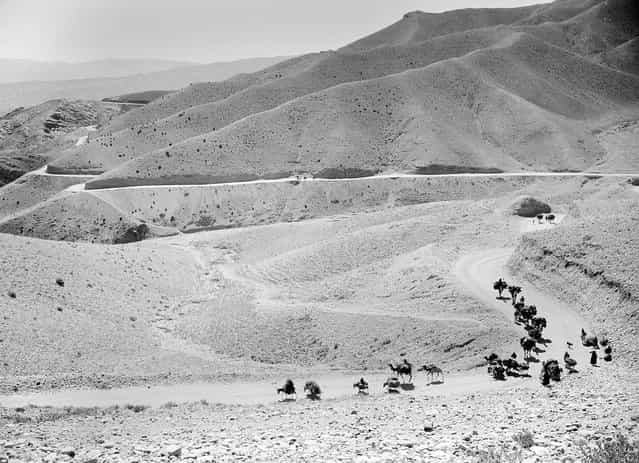 A caravan of mules and camels cross the high, winding trails of the Lataband Pass in Afghanistan on the way to Kabul, on October 8, 1949. (Photo by Max Desfor/AP Photo via The Atlantic)
