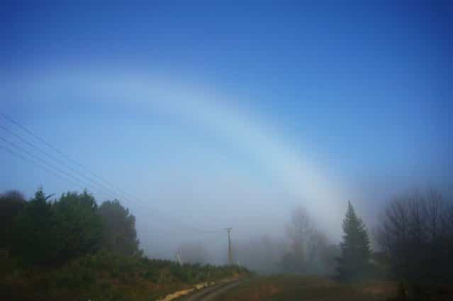 White Rainbow Or Fog Bow