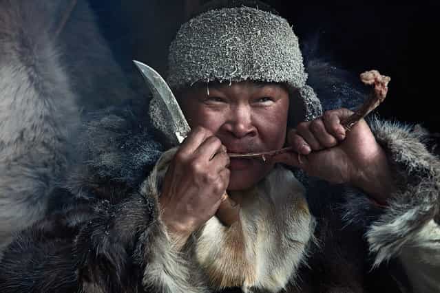 The staple foods eaten by the inland Chukchi are products of reindeer farming: boiled venison, reindeer brains and bone marrow, and reindeerblood soup. One traditional dish, rilkeil, is made from semi-digested moss from a slaughtered reindeer’s stomach mixed with blood, fat, and pieces of boiled reindeer intestine. Coastal Chukchi cuisine is based on boiled walrus, seal, whale meat/fat and seaweed. Both groups eat frozen fish and edible leaves and roots. Traditional Chukchi cuisine is now supplemented with canned vegetables and other foodstuffs purchased in stores. (Jimmy Nelson)