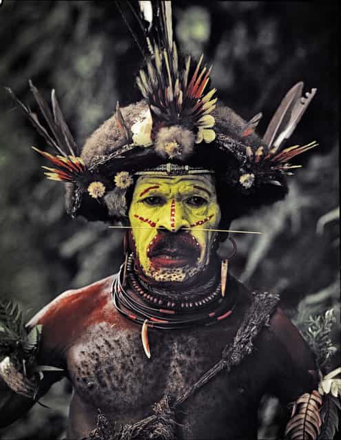 The tribes fight over land, pigs and women. Great effort is made to impress the enemy. The largest tribe, the Huli wigmen, paint their faces yellow, red and white and are famous for their tradition of making ornamented wigs from their own hair. An axe with a claw completes the intimidating effect. (Jimmy Nelson)