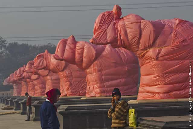 Elephant Statues Of BSP Party Symbol Covered Ahead Of State Elections In India