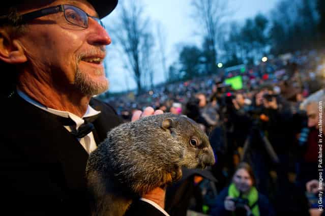In Groundhog Day Tradition Punxsutawney Phil Predicts End Of Winter