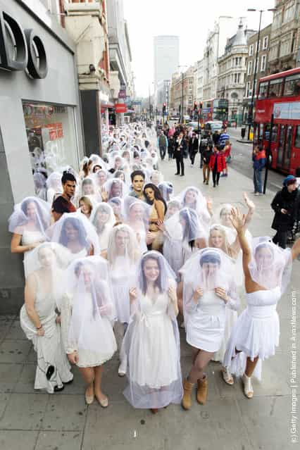 Twilight Breaking Dawn Part 1: Guinness World Record Attempt