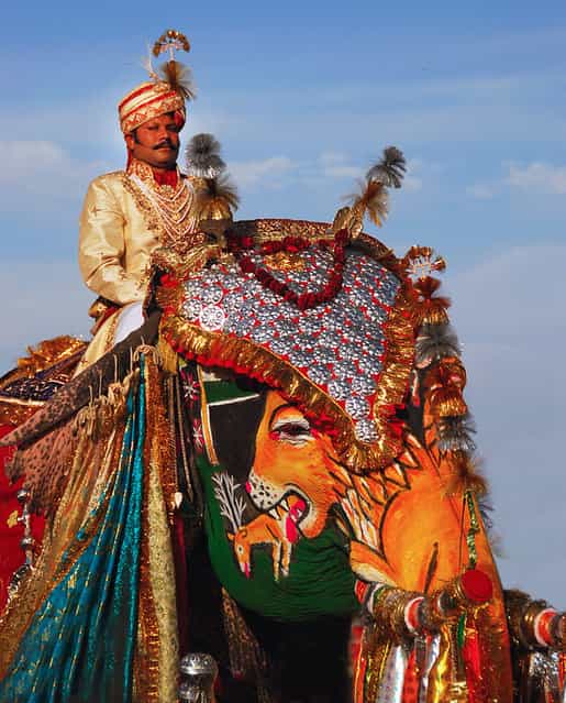 Elephant Festival in Jaipur