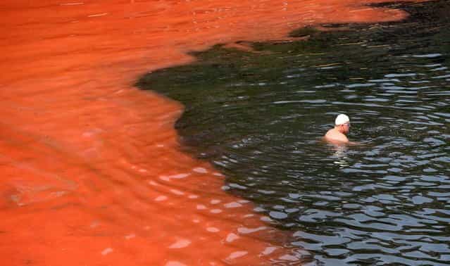 Sydney Beaches Turn Blood Red From Algae