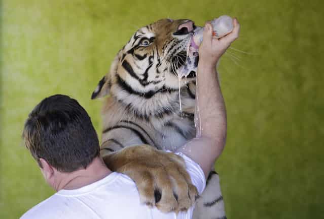 The Week in Pictures: Animals September 21 – September 28 2013