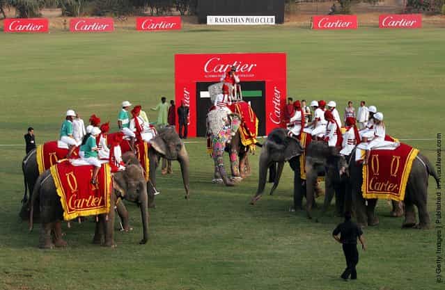 Cartier Holds Elephant Polo Match In India