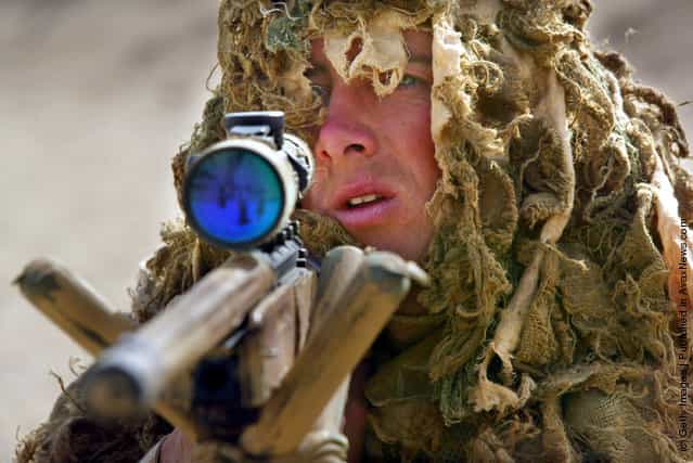 British Royal Marine soldier