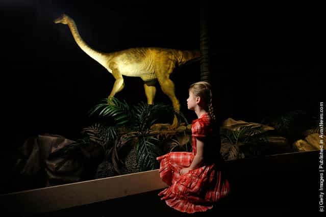 The Natural History Museum Launch Their New Exhibition Age Of The Dinosaur