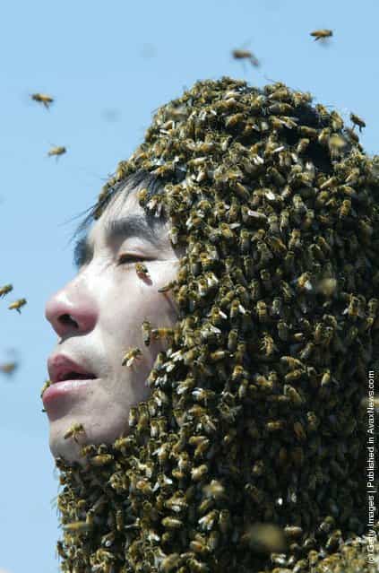 Bee Keeper Protests Japanese Claims On Islands