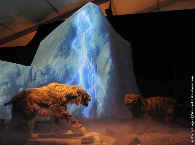 «Giganten Der Eiszeit» Exhibition Opening