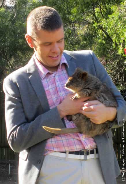 Perez Hilton Visits Sydney's Taronga Zoo